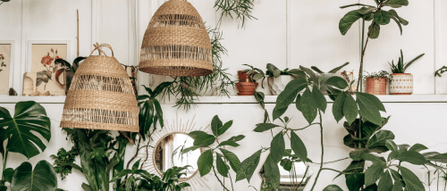 close up view of two hanging lamps made from natural materials and plants inside an apartment